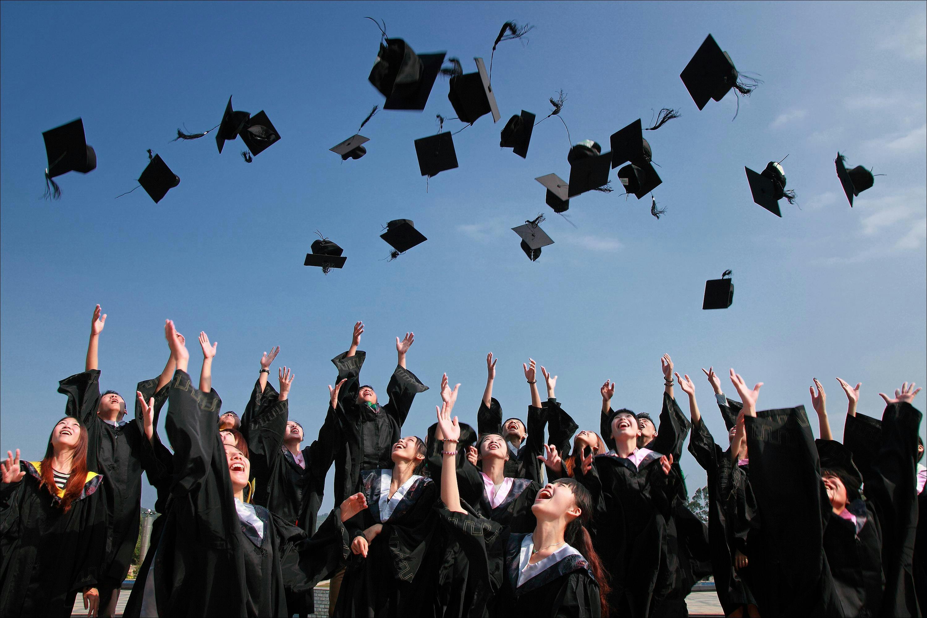 University Admissions Assistance
